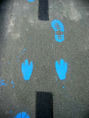 Retracing footprints